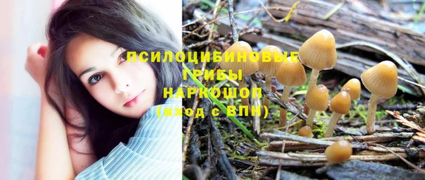 прущий лед Мегион