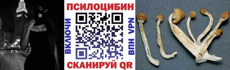Псилоцибиновые грибы прущие грибы  хочу   ОМГ ОМГ ссылки  Сосногорск 